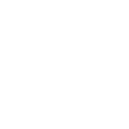 Vinomaly Logo